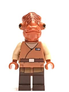 sw719